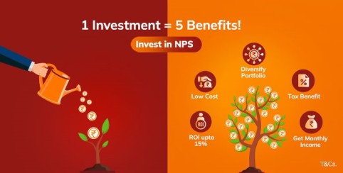 Invest in NPS