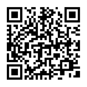 QR Icon