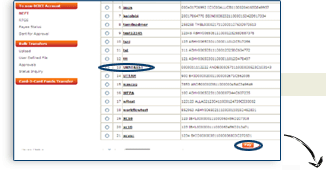 After selecting Payee Click on "Pay"