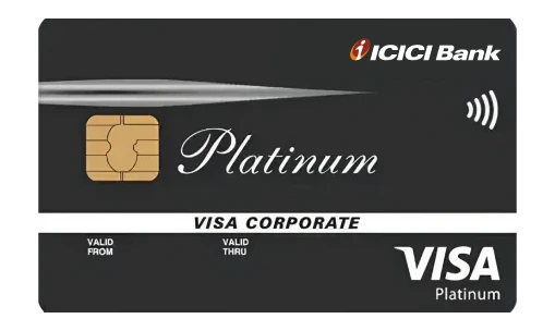 visa-brown.jpg