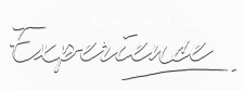 ICICI Bank Experience