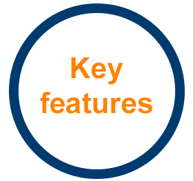 UPI Key Features